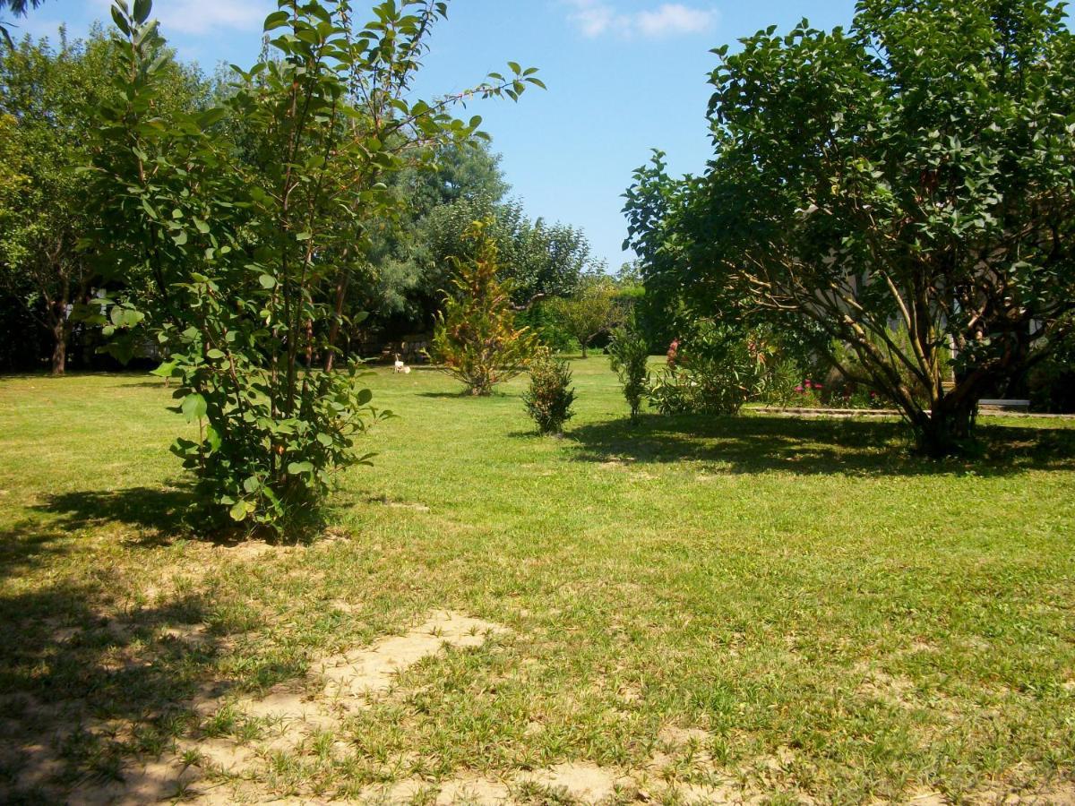 Saint-André-de-Cubzac Domaine De Monein B&B 외부 사진