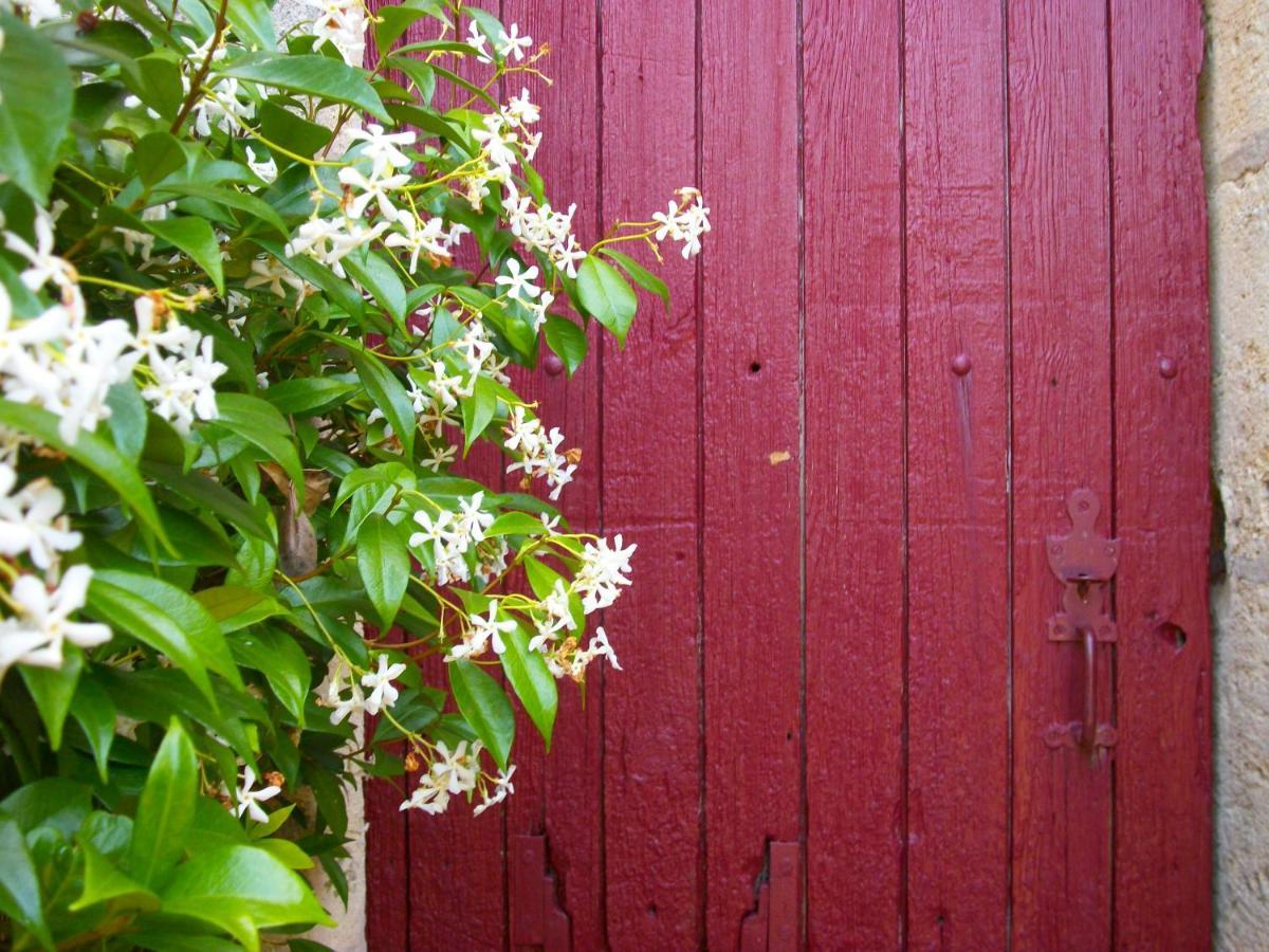 Saint-André-de-Cubzac Domaine De Monein B&B 외부 사진