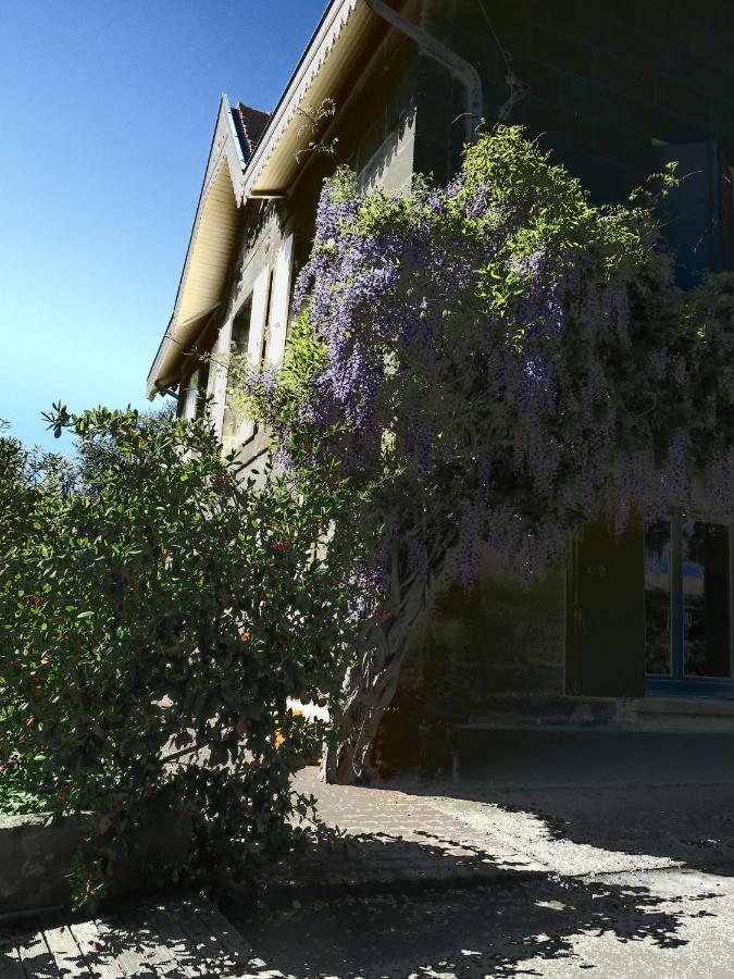 Saint-André-de-Cubzac Domaine De Monein B&B 외부 사진
